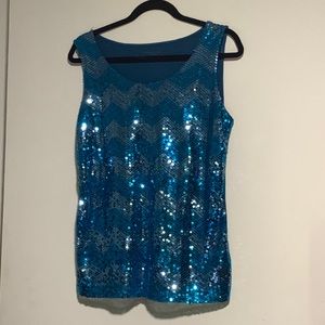 Coldwater Creek Sequin Top, Size S, Blue